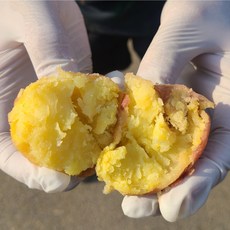 2021년 수확한 홍감자 카스테라감자, 중사이즈, 3kg