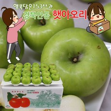 //상품명