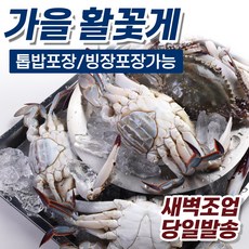 진도꽃게