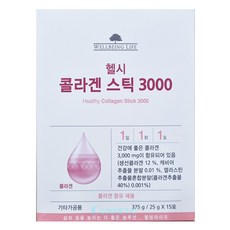 웰빙라이프 헬시 콜라겐 스틱 3000/25gx15포, 1개, 25g