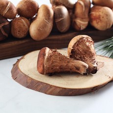 [식탁이야기] 국내산 참송이버섯 500g, 1개