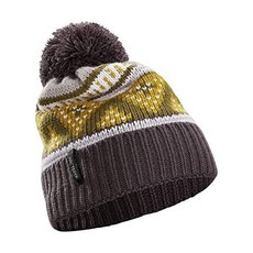 아크테릭스비니