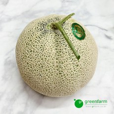 메론(약1.7kg)-세지메론 (특), 1개