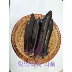 가락시장 경매 부드러운토종 가을 달달한 가지 1k, 1개