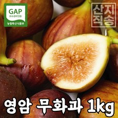 노지무화과