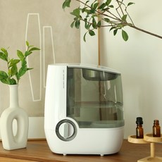 zch-ca610d