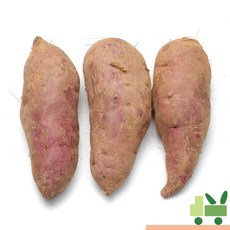 사라상회 고구마 2Kg (튀김용), 1개