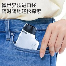 주사전자현미경