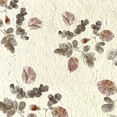 8549aebb504244a7194fae541ab7e14b108d5092bd8bbce345e442c02a81.jpg