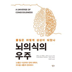 뇌의식의 우주:물질은 어떻게 상상이 되었나, 한언