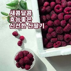 김해산딸기