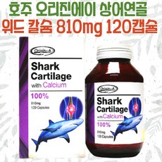 상어연골면세점