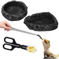 6pcs 파충류 뱀 먹이 액세서리 2 물 요리 음식 그릇 10개 고무 클램프 수염 용 도마뱀용 습도계 온도계