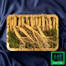 [풍기인삼] 6년근 수삼 선물세트 1호 500g 15-20뿌리, 1개