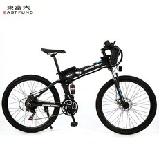 서울전기자전거대여