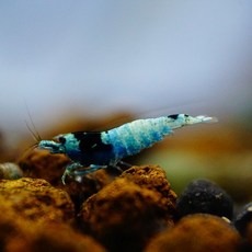 5bf539893ec0d984b2c5a06036fdbcf20d71956f553dc042ff1e14c3f485.jpg
