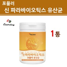 고스트5