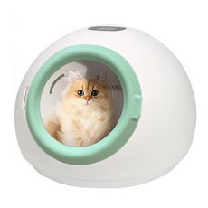 꿈나무 펫 드라이룸 반려동물 애견 가정용 강아지 고양이 드라이기, 민트