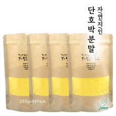 자연지인 국산 단호박분말, 4팩, 250g