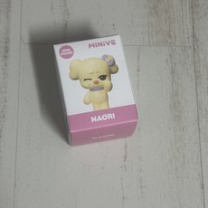 아이브 2025 미니브스쿨 부산 팝업 잠실 미니브 미니 피규어, 레이