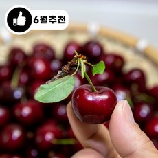 [전문가추천] cherry 캘리포니아 워싱턴 체리, 1개, 특대(9.5R) 2kg