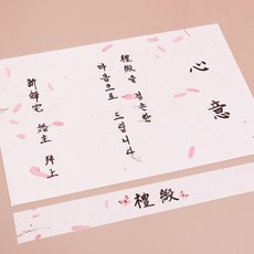 지극정성 단아한 나비노리개 현금예단보 + 예단 봉투, 살구(그레이띠), 1세트
