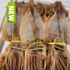 국내가공 마른오징어 건오징어 대/중/소 20미 오징어 도매 업소용 안주 간식, 1.5kg(20미), 1개