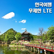 플라잉비 한국유심 매일3GB LTE 핫스팟지원 데이터전용, 1개, 25일(600시간)