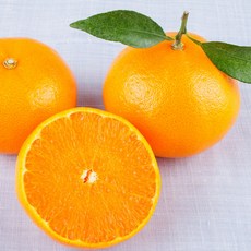 천연달콤함 건강간식 당도선별 제주 천혜향, 1박스, 가정용(중소)3kg