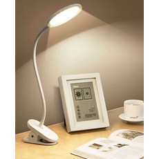 디트렌드루미나스탠드