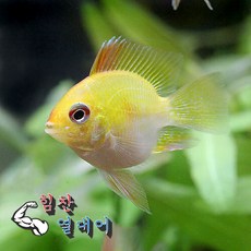 71a1154d1b9a44449b8c1d9fba6e524e35de59842d6e78eb79fcc94eaccc.jpg