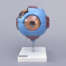 3d89e0862a275ce04e3ac838e17beb5d35b2d848c858a4456052fc8ae685.jpg