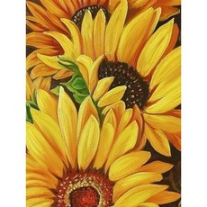 집에서할수있는취미