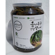 산에곤이엄마가 산에서 따온 음나무순장아찌 개두릅 엄나무순