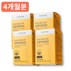 코엔자임Q10 큐엔자임큐텐 유비퀴논 혈압영양제 항산화케어 코엔자임큐 코앤자임큐텐, 1개, 120정