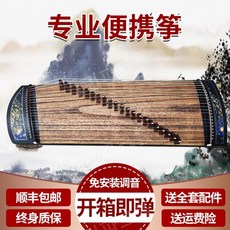 가야금전문가용