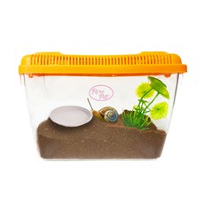 로라펫 로마 달팽이 키우기 세트 M, 1세트, 랜덤발송