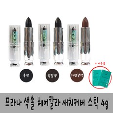 색솔 프라나 새치커버 스틱 립스틱형 4g 흰머리커버, 1개, 자연갈색