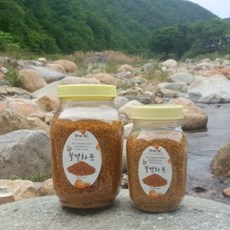 향토박이 벌화분 생화분 500g 1kg 지리산 국산 먹는 비폴렌 화분 꽃가루 벌꿀화분, 1개, 꿀벌화분(생화분) 500g