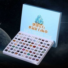반려돌 TOP01
