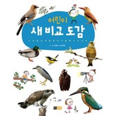 안녕입체도형과전개도