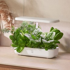 오늘식물 Air 식물재배기 수경재배기 가정용 스마트팜, 1개