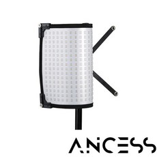 ancess