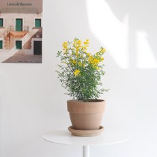 추천9미나리초무침