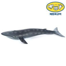 흰수염고래