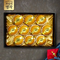 과일의명작 나주 신고배 선물세트 4kg (9과내)