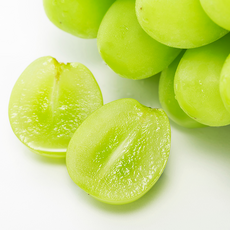 샤인머스켓수출용