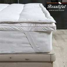 세인트구스토퍼