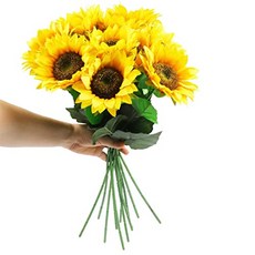 9f6a2ef17fa5692a800a49564241b98c085eb72ba77bdbfeba1703365af6.jpg