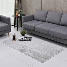 하임굿즈전기요